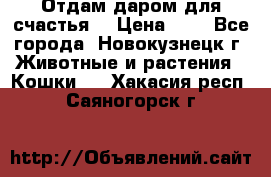 Отдам даром для счастья. › Цена ­ 1 - Все города, Новокузнецк г. Животные и растения » Кошки   . Хакасия респ.,Саяногорск г.